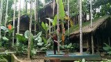 黎族人娶媳妇仪式