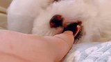 温暖如初会撒娇的宝宝
