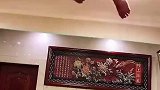 这大半夜的吓一跳