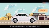 春节开车回家的注意事项