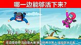 脑力测试：森林和大海，你会降落在哪一边？