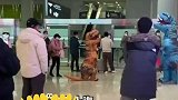 父子变身恐龙到机场接机