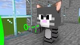 Minecraft动画：汤姆猫的新伙伴——安吉拉