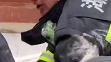 英雄当之无愧！每次出警都是用自己的生命换别人的平安！