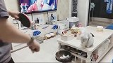 东北小区不让出门，就在家里跟猫咪打球，小伙训练的猫咪真厉害！