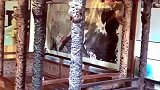 古城、古床、古画