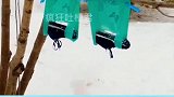 吐槽我不是小姐姐
