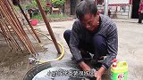 阿妹童心未泯，锅里面做干锅豆腐锅下面烤番薯，做饭玩乐两不误
