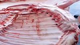 肉档屠夫展示了去骨绝技，网友表示排骨去这么干净亏了几个老婆吧