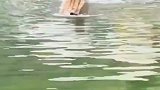 网红猴被揍的不能上岸