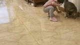 大宝与马达和小胖：智商差不多的都能玩到一起