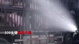 300头猪集体中暑，消防浇水30分钟“续命”，司机：不降温全得死
