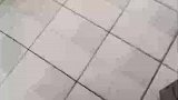 这是啥发明啊，无敌防溅马桶