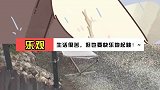 在谷底也要开花，在海底也要望月