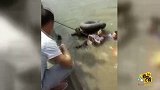 实拍老人跳河轻生 警察救援被其勒脖子往水里按