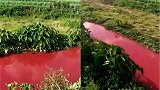 广西一河流一夜间成血红色 环保局：人为向河流倾倒印染剂