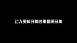 当二哈被埋其他狗子们被乐坏了！