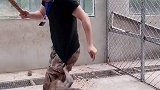 打遍猴区无敌手，成为猴区女霸王