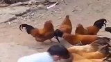 搞笑配音，看阁下发卷子的手法是江湖中人吧，小李飞卷莫非就是你