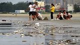 广西北海一景区发现绵延近4公里的死鱼 官方：已持续一周多