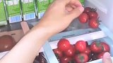 不是冰箱太小，是你不会收纳
