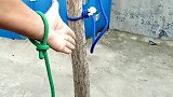 还有很多人在迷糊，到底是怎么逃脱的哪？