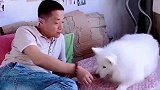 谁家的狗狗不是个宝，它把主人当爸爸妈妈，主人把它当孩子！
