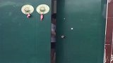 小情人在舅妈家住了三天，舅妈直接撵人了，真是个狠心的女人