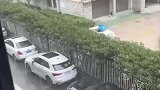 谁家的新车，开完窗户忘记关该考虑养鱼了