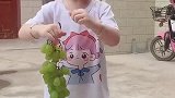 #今日份小可爱已上线 #神兽日常