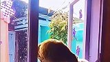 不听老言吃亏在眼前