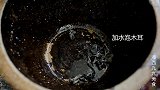 湘西九九，九九三根黄瓜一拍，味道超级的棒