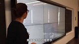 李咏女儿晒美名校录取通知，考顶尖女子大学与“奶茶妹妹”成校友