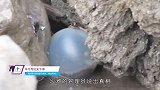 海滩“巨型珍珠”遭游客疯抢，管理员赶来一看，立刻神色大变