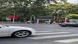 那天无意看到的，太可爱了！