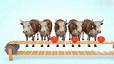 趣味早教：给牛喂食动画学颜色，亲子早教婴幼儿视频