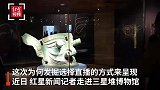 专访三星堆博物馆副馆长朱亚蓉：直播大发掘带来了热度和人气