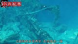广东梅州绿窟潭，发现10多具女性骸骨，80岁老妇揭开黑历史