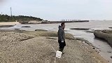 这片赶海宝地一般没人知道，一铲能撬好几个生蚝，粉丝赶海来这里