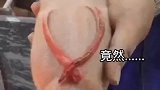 这猪刚出生就有翅膀啊