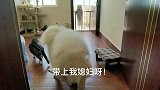 给你们撒一波狗粮！