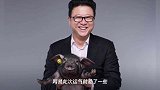 网易暴力裁员事件的背后:京东回了口血,打工者寒了心