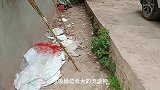 垃圾桶边长大的流浪狗，睡午觉做梦蹬狗腿！