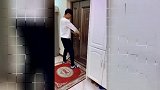 蛋黄挨打了，铲屎官知道后竟这么做，结局真是太搞笑了！
