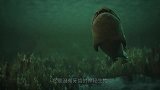 没有牙的“神秘生物”，进食只能靠骨头咬，饿起来连同类都吃！