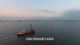 世界上最大的渔船，造价高达4亿，看到捕鱼过程，为鱼感到悲哀！
