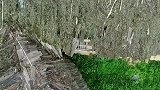 家里茅草房