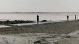 看海千万要注意安全，涨潮要及时撤离