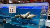 超市的鱼死掉了，高情商超市将鱼名字改掉