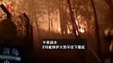 森林火灾逼近西昌：森林火灾向西昌市农业学校蔓延